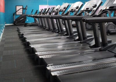 The Fitness Factory | Brevard, NC | treadmills
